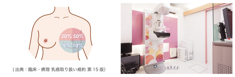 (出典：臨床・病理 乳癌取り扱い規約 第15版）